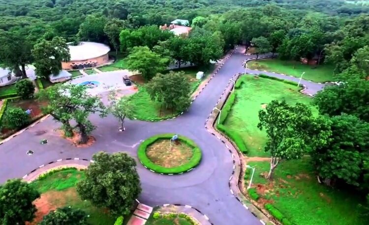 Bauchi Govt Steps Up Plan To Revive Yankari Game Reserve