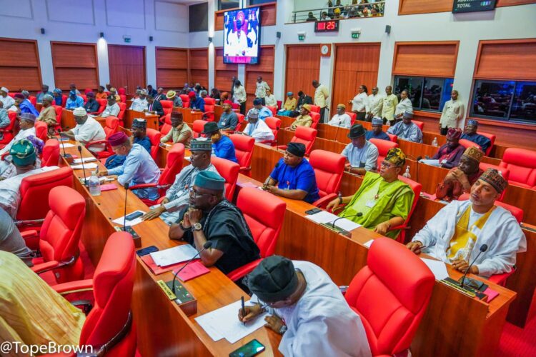 Northern Senators Kick As Senate Mulls Commission, Ranches To End Farmer-Herder Clashes