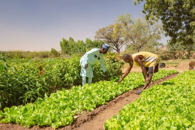 FG Declares Initiative For Agric Inputs Distribution