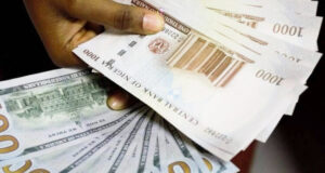 FG Spends $8bn To Stabilise Naira