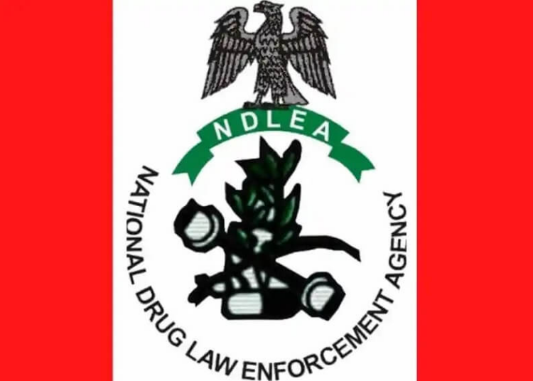 Four Out Of 10 Undergraduates Are Into Drugs – NDLEA
