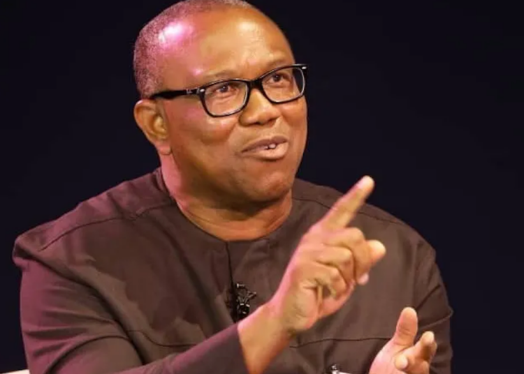 Four Years Enough To Deliver Results As Nigeria’s President – Peter Obi