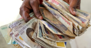 Imbibing Investment Culture In The New Year