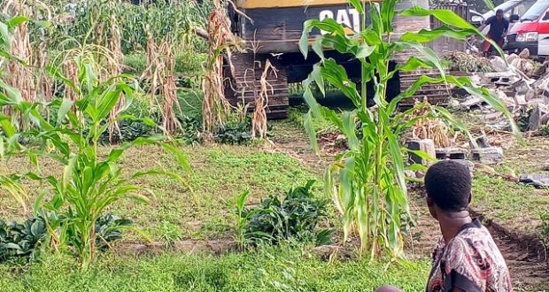 Gov Eno Summersaults His Policy On Agriculture?
