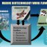 PROPOSED AKS BLUE ECONOMY MINISTRY (PART SEVEN): Marine Biotechnology-Unlocking the Hidden Wealth of Akwa Ibom’s Blue Frontier